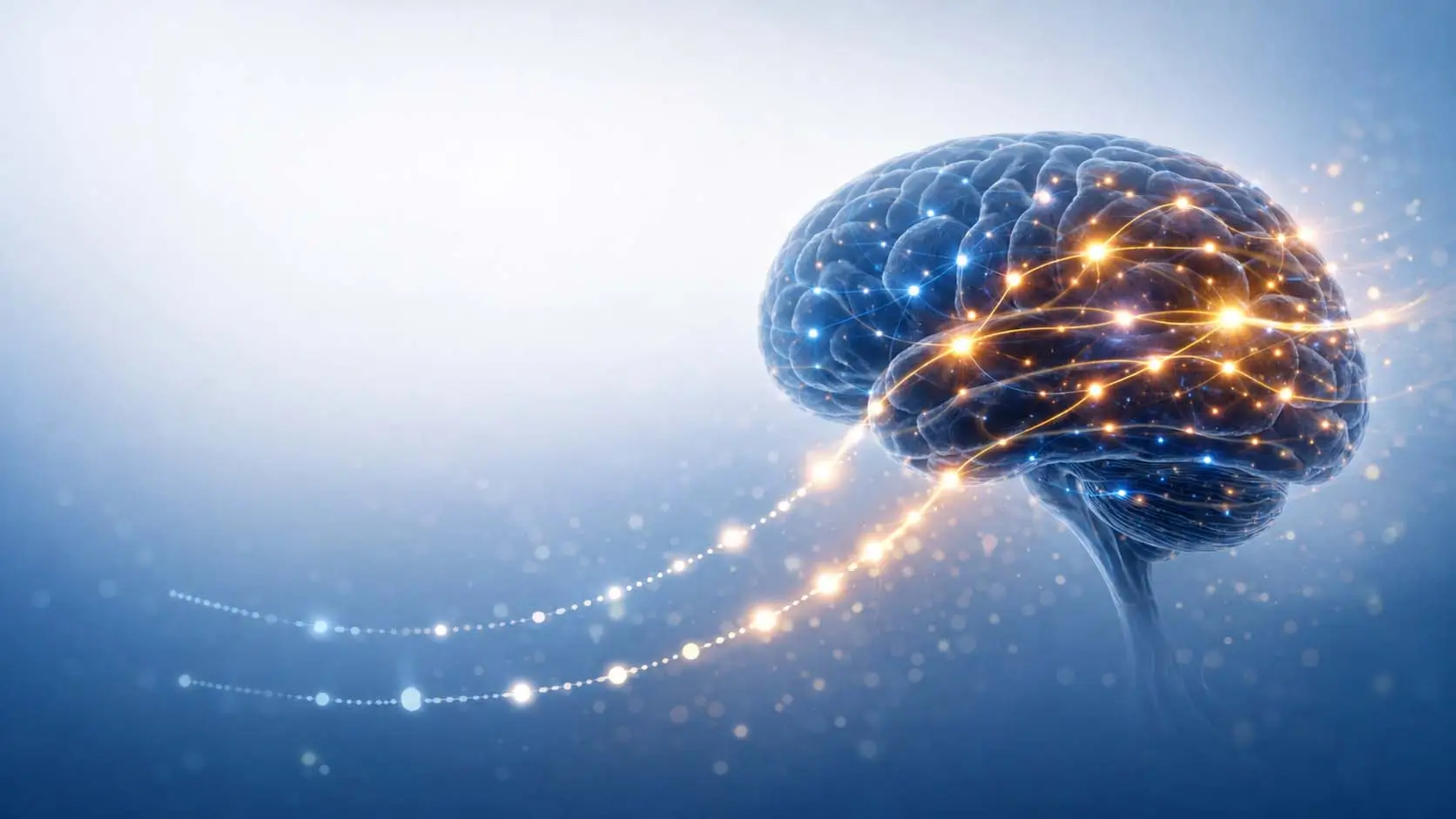 Lo esencial de la ia la neurociencia aprovechar mejor IA